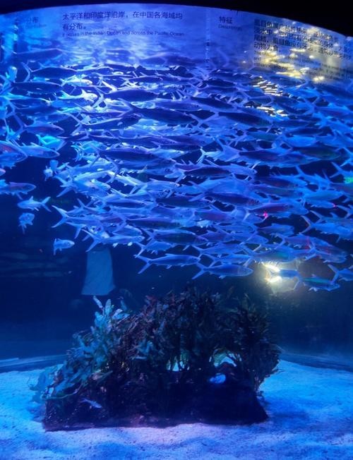 廣東水族展有哪些特色展區？
