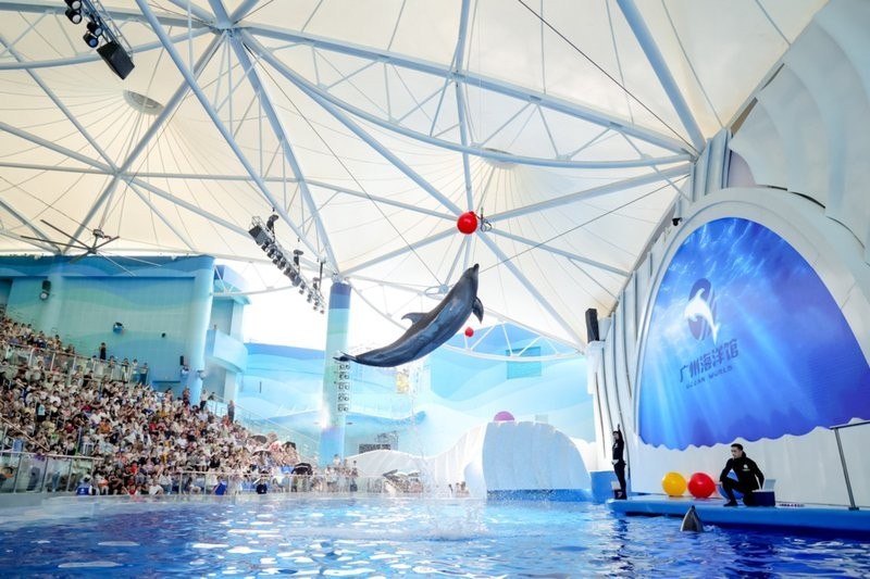 廣東水族展有哪些特色展區？