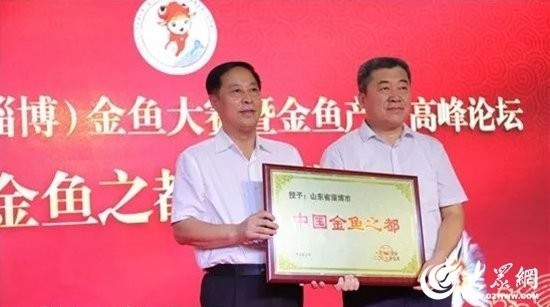 第五屆金魚大賽有哪些創新之處？
