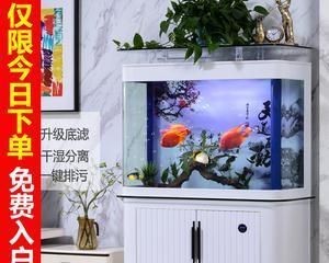 江彩生態(tài)魚缸怎么樣啊：江彩生態(tài)魚缸怎么樣？