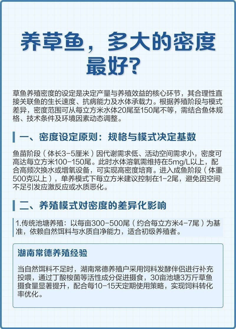 高密度養魚一立方米養多少魚