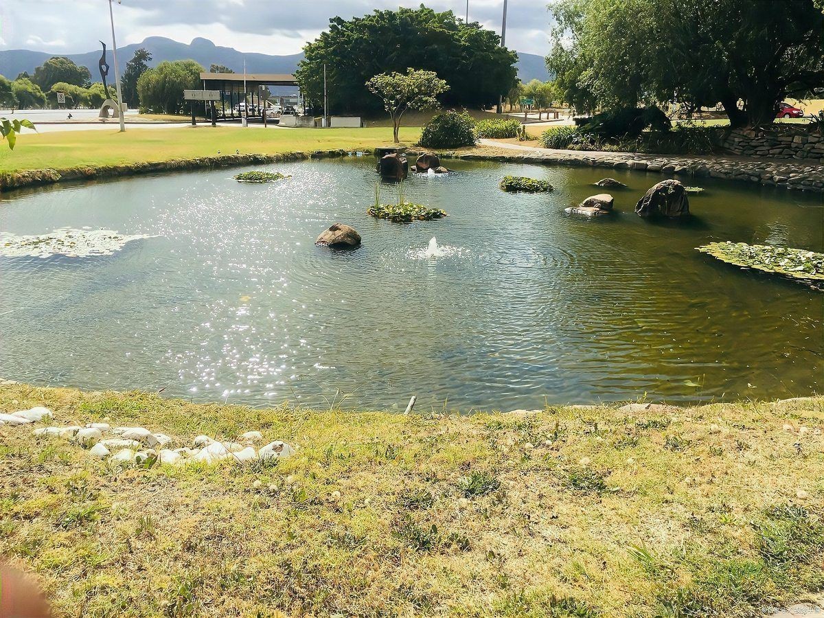高密度養魚一立方米養多少魚