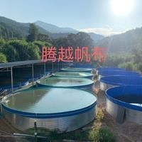 高密度養魚一立方米養多少魚