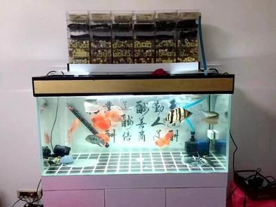 魚缸過濾器選擇指南：魚缸過濾器常見故障及解決魚缸過濾器常見故障及解決