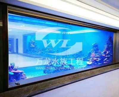 龍魚缸視頻欣賞教程：diy龍魚缸視頻欣賞教程