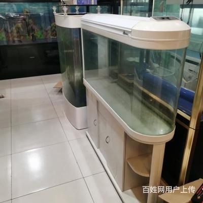 飯店用二手魚缸的注意事項：二手魚缸風水學探究在中國傳統文化中的魚缸風水學探究