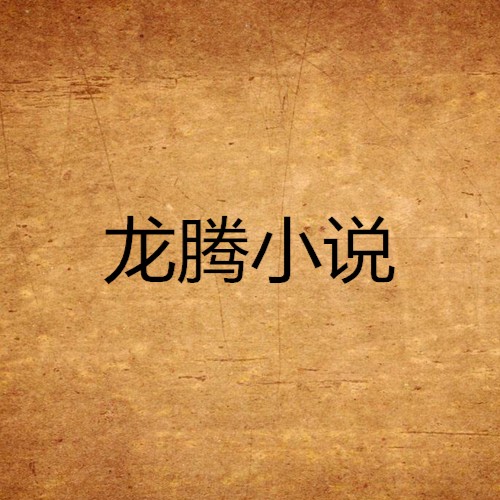 龍騰小說閱讀網有官方網站嗎？