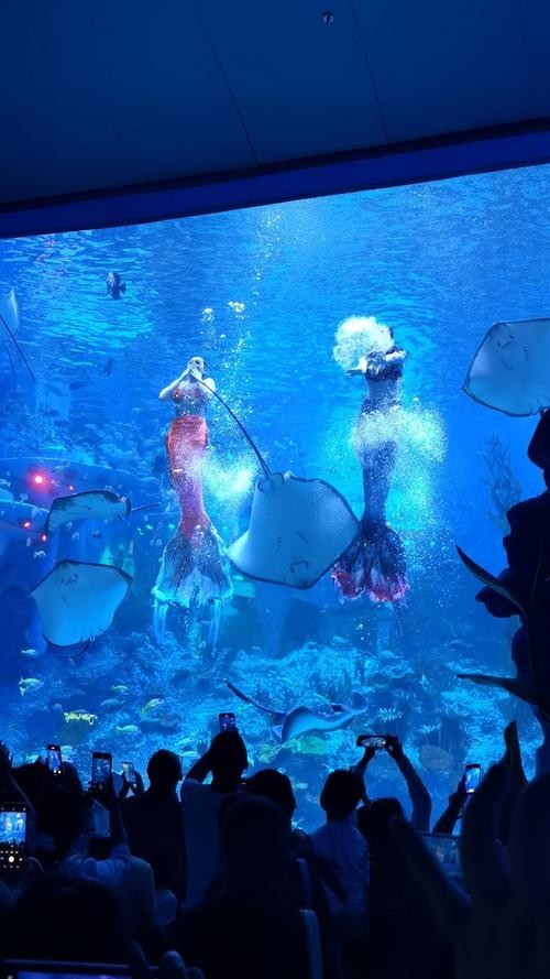 廣東水族展2025