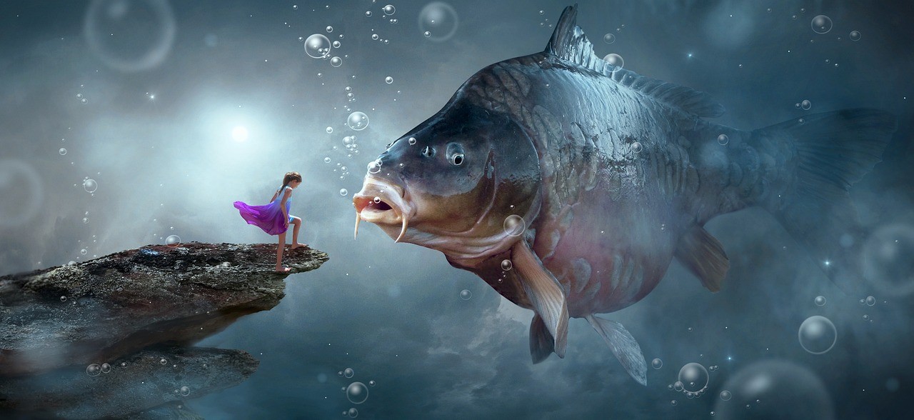 金龍魚好還是紅龍魚好看，金龍魚銀龍魚紅龍魚哪個最貴