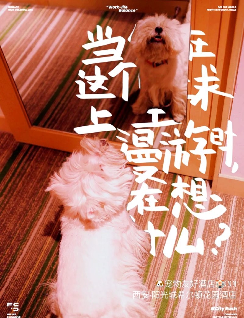 水長城附近有哪些推薦的寵物友好酒店？