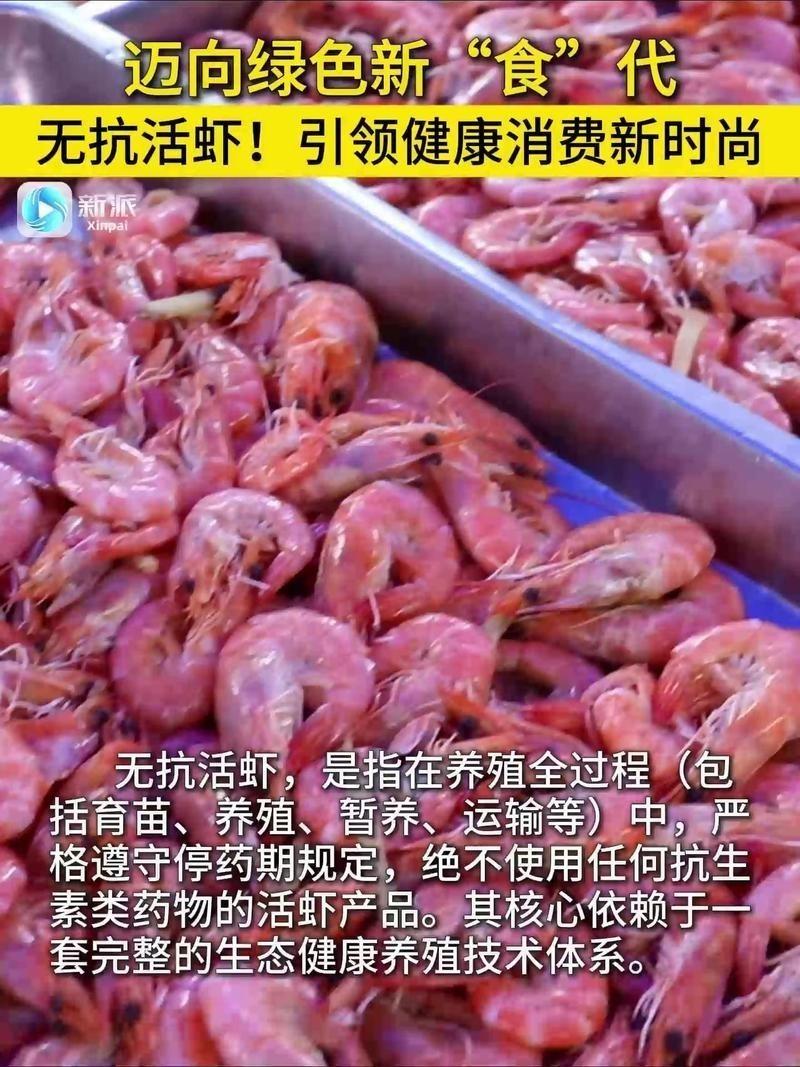 濰坊市海漁局舉辦無抗活蝦推介活動