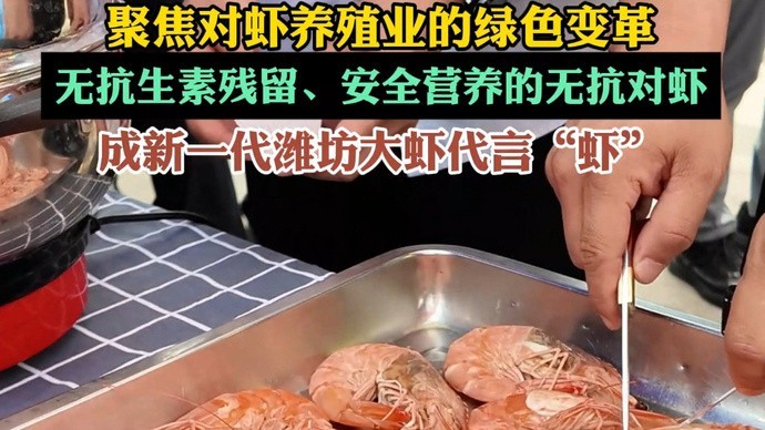 濰坊市海漁局舉辦無(wú)抗活蝦推介活動(dòng)
