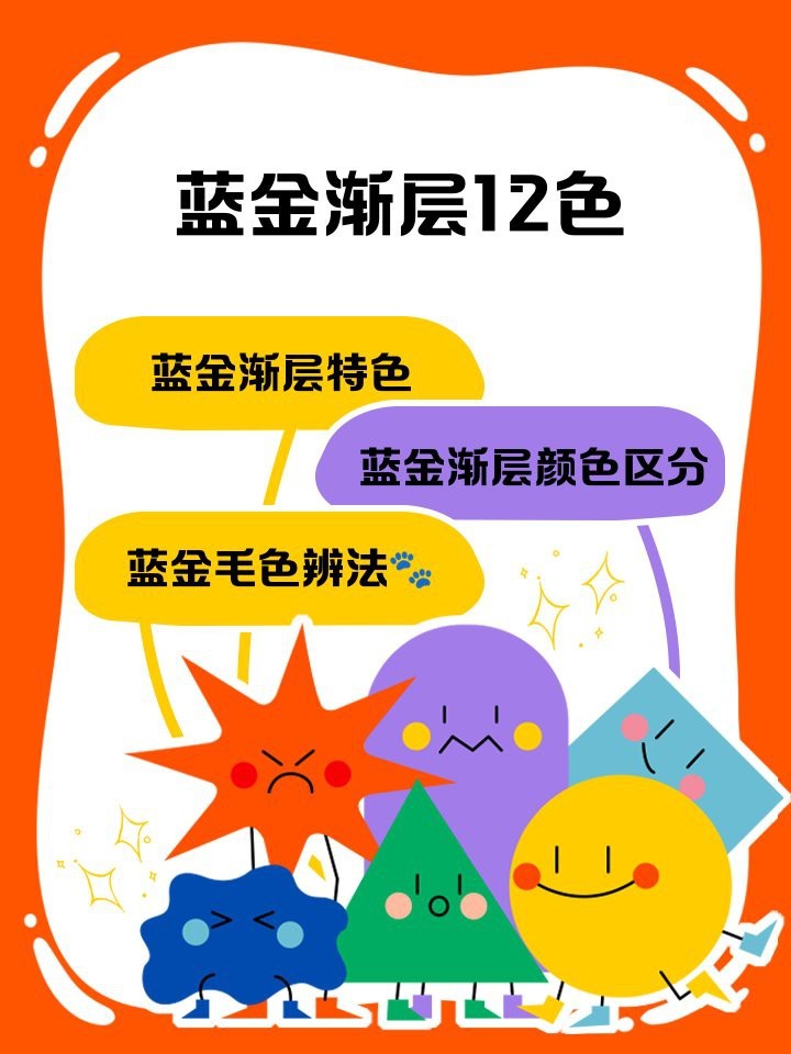 藍底和金底哪個更稀有？