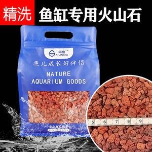 底濾魚缸怎樣鋪沙造景（底濾魚缸造景的注意事項）