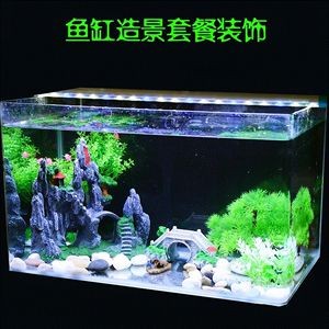 魚缸造景培訓機構供您選擇魚缸造景培訓機構供您選擇：京魚缸造景培訓