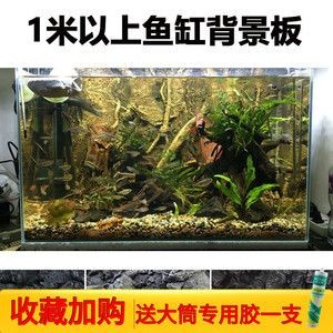 魚缸造景培訓機構供您選擇魚缸造景培訓機構供您選擇：京魚缸造景培訓