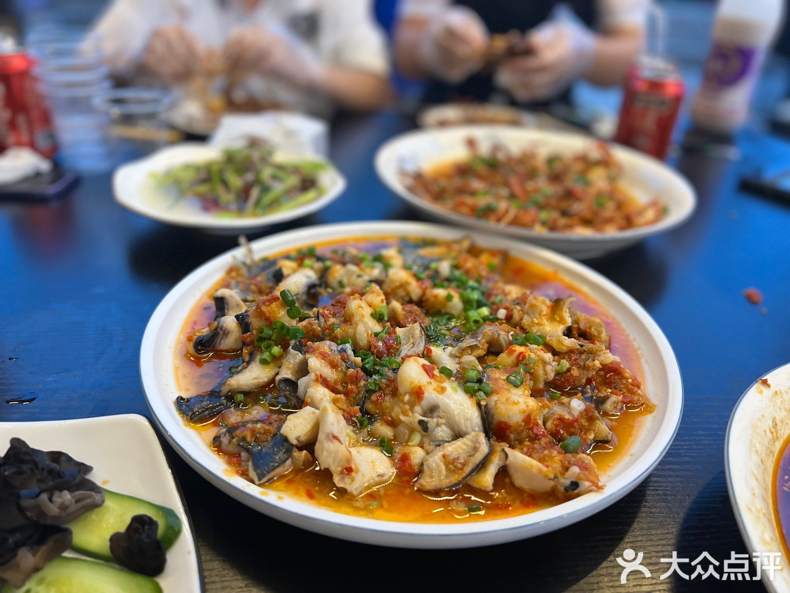 如何聯系到皇宮龍魚漁場？