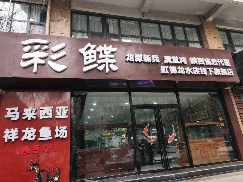 如何聯系到皇宮龍魚漁場？