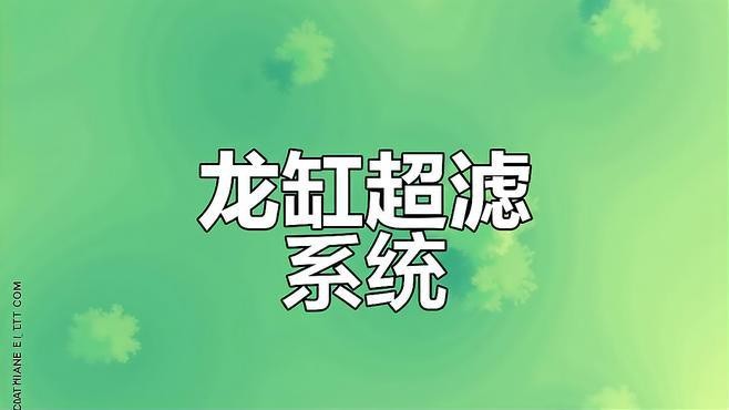 龍缸的過濾系統哪種最好