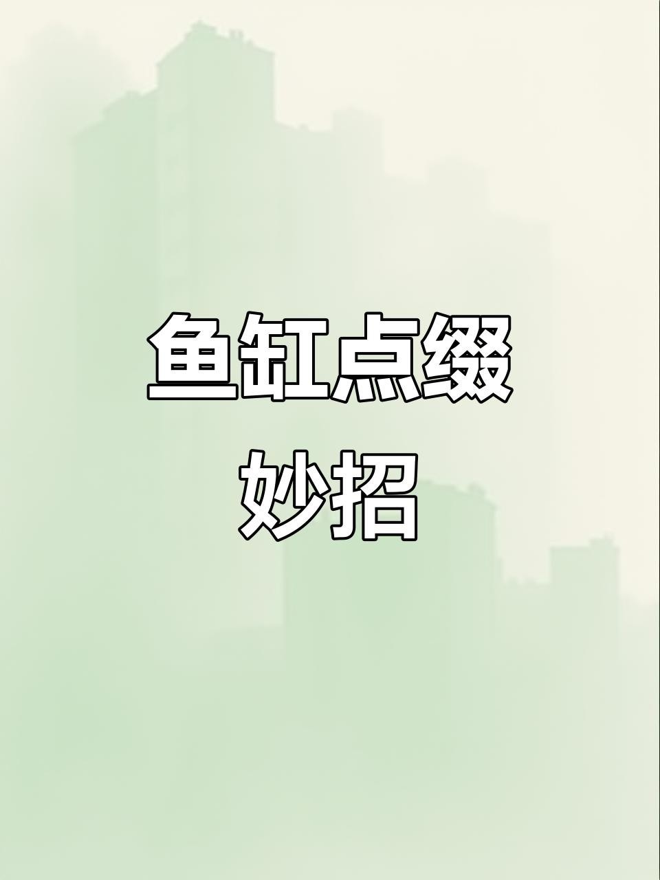 龍魚缸里可以放哪些裝飾物？