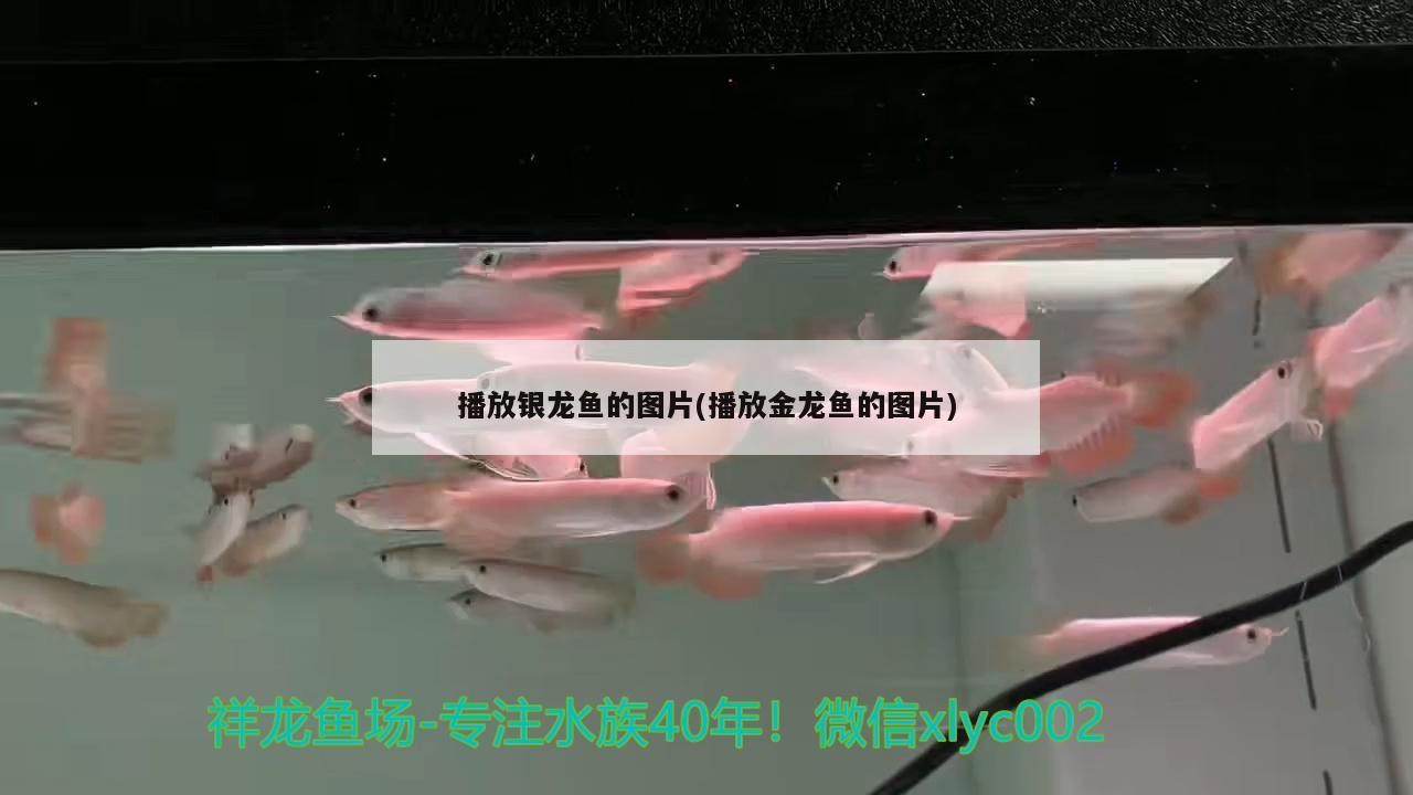 經(jīng)濟開發(fā)區(qū)家家香鮮肉經(jīng)銷店