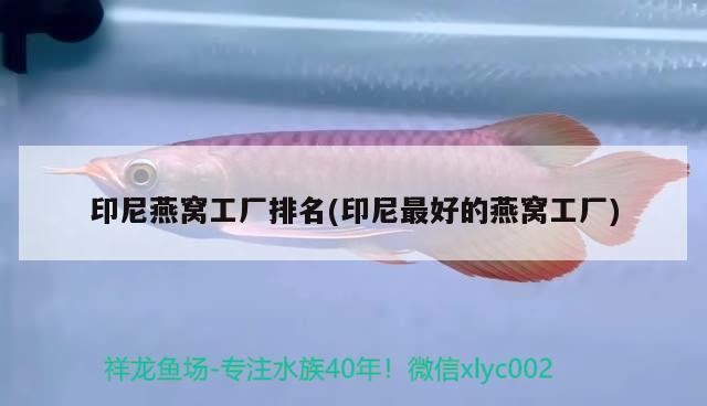 銀龍魚養(yǎng)了四年的銀龍魚被做成清蒸魚，其口味與普通魚有何不同？，養(yǎng)了四年的銀龍魚被做成清蒸魚，其口味與普通魚有何不同？
