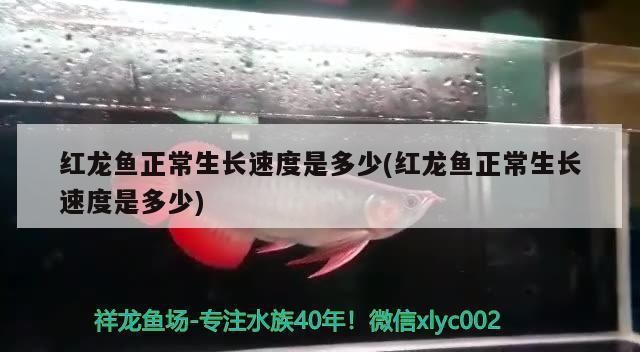 <strong><mark>明溪</mark></strong>縣城關藍海水族店（<strong><mark>明溪</mark></strong>縣城關藍海水族店電話）