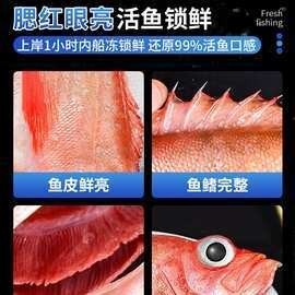 東星斑和藍鰭金槍魚哪個更貴？ 東星斑和藍鰭金槍魚哪個更貴？ 2025長城杯龍魚大賽 第17張