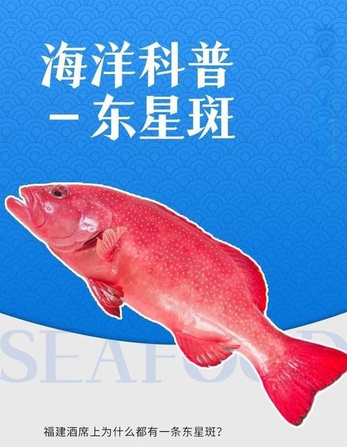 東星斑和藍鰭金槍魚哪個更貴？ 東星斑和藍鰭金槍魚哪個更貴？ 2025長城杯龍魚大賽 第4張