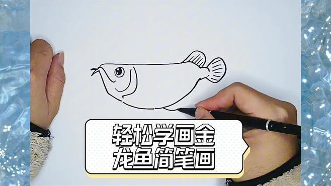 畫金龍魚需要多長時間練習？