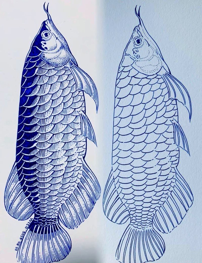 畫金龍魚需要多長時間練習？