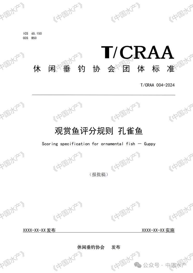 如何參加孔雀魚比賽？