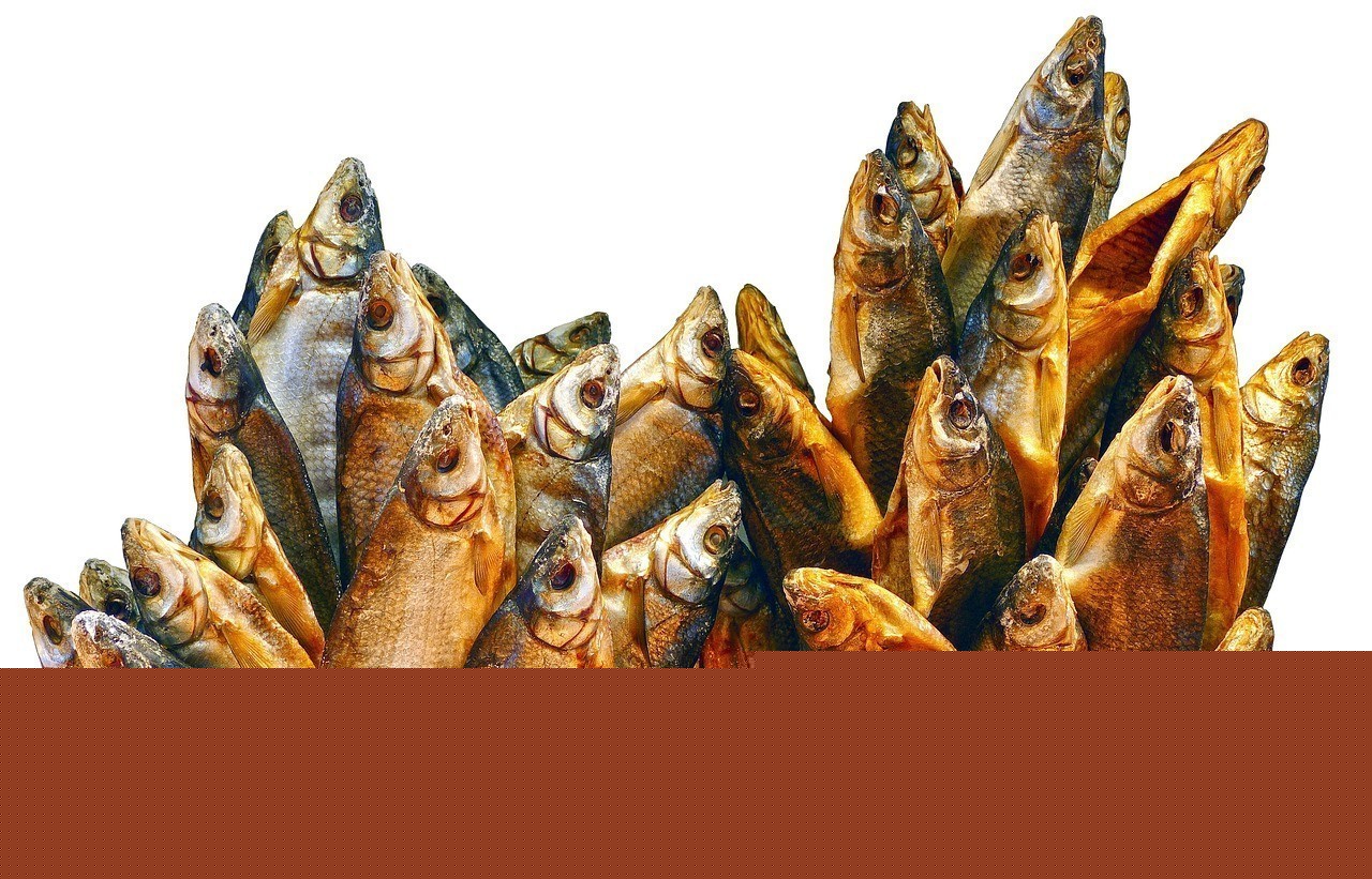 清波魚盡量少吃的原因 龍魚論壇 第1張 清波魚盡量少吃的原因 清波魚盡量少吃的原因 龍魚論壇 第1張