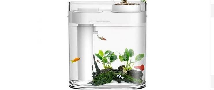 畫法幾何魚缸安裝視頻教程：畫法幾何魚缸安裝視頻教程詳情