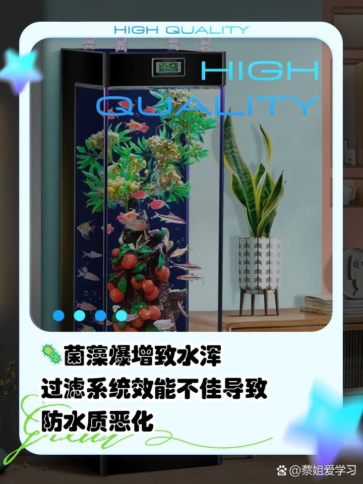龍魚白霧最簡單處理方法