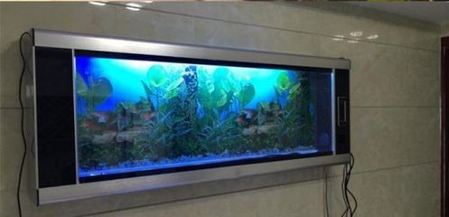 魚缸擺放在風水學中的最佳擺放位置是根據風水學的最佳擺放位置：家居風水學中的魚缸擺放位置