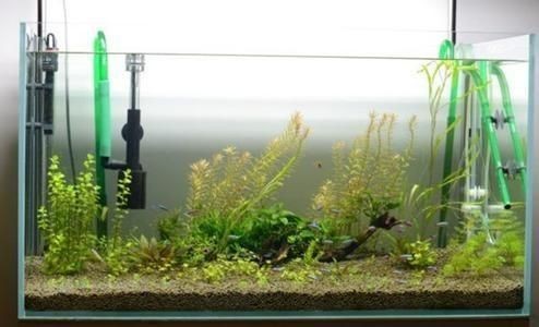 十大魚缸過濾器品牌：2024年10大魚缸過濾器品牌詳情