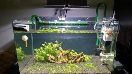十大魚缸過濾器品牌：2024年10大魚缸過濾器品牌詳情