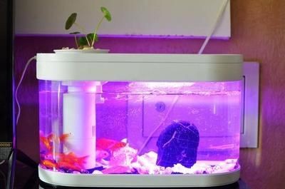 十大魚缸過濾器品牌：2024年10大魚缸過濾器品牌詳情