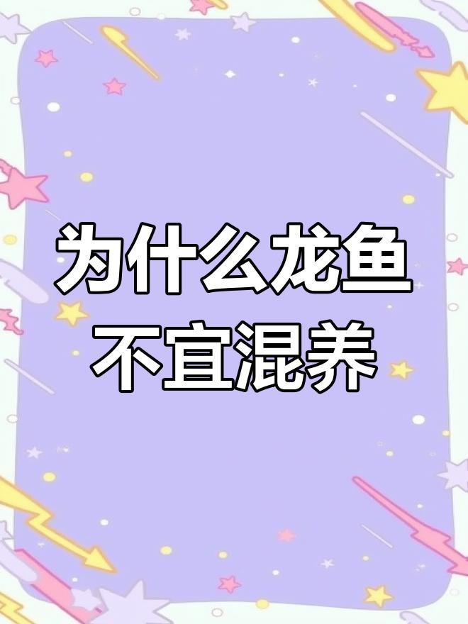 鴨嘴鯊魚（鴨嘴鯊魚是一種獨特魅力的淡水魚類，如何馴養鴨嘴鯊魚）