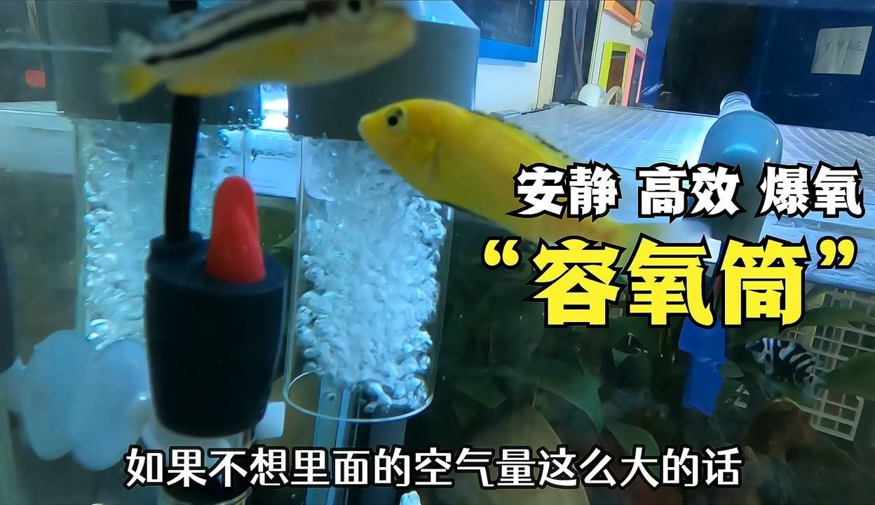 魚缸爆氧文氏管：文氏管增氧效果對比