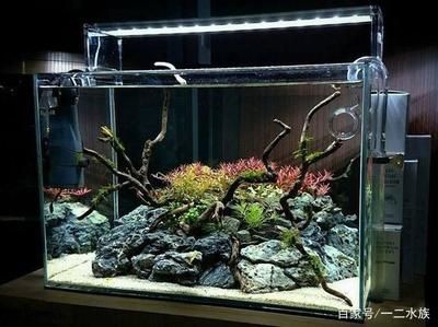 底濾魚缸的物理過濾搭配包括以下幾個方面包括以下幾個方面：底濾魚缸物理過濾搭配