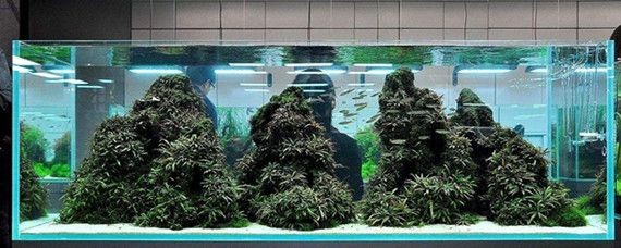 底濾魚缸的物理過濾搭配包括以下幾個方面包括以下幾個方面：底濾魚缸物理過濾搭配