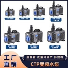 長城杯龍魚大賽水泵品牌