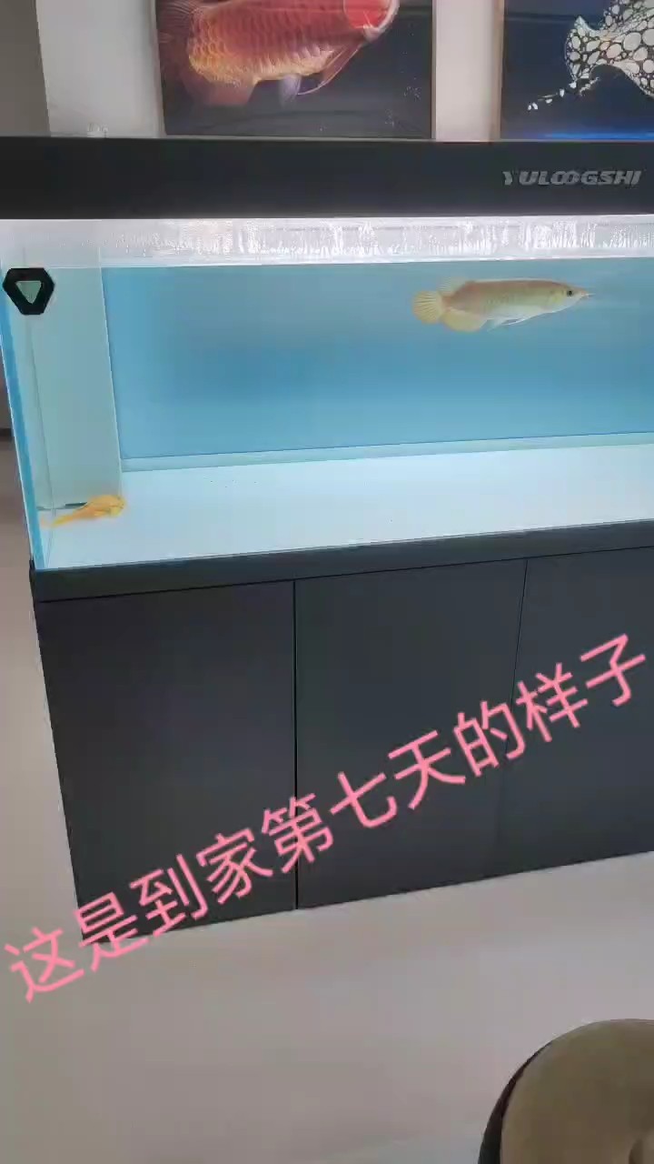 這是當時到家第七天的樣子
