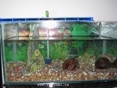 威海魚缸生產廠家有哪些：威海的魚缸生產廠家有哪些？