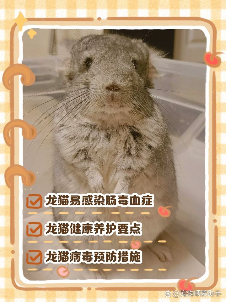 龍貓身上攜帶什么病毒