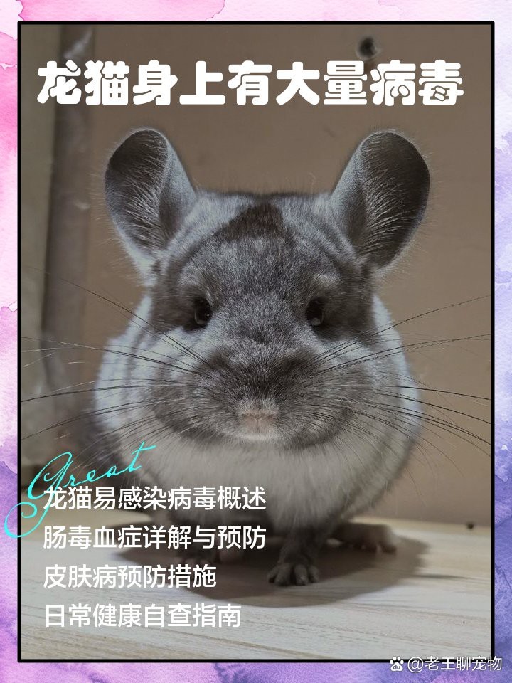 龍貓身上攜帶什么病毒