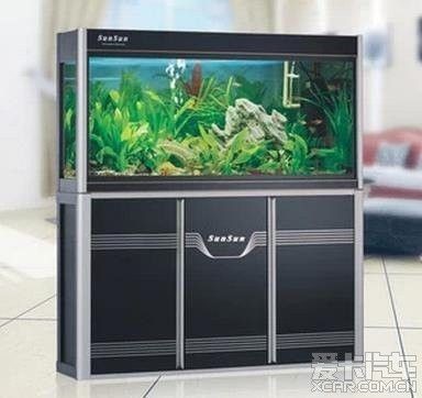 上海魚缸品牌十大排名（上海魚缸品牌十大排名上海魚缸品牌十大排名）