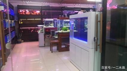 魚缸擺放客廳位置圖2018，客廳魚缸風水禁忌詳解